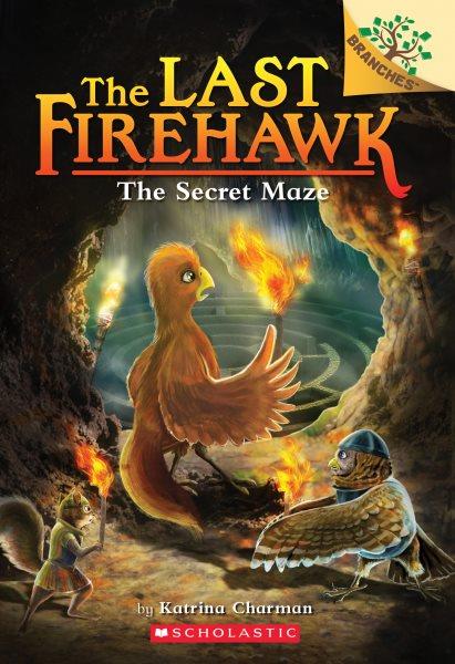 The secret maze / by Katrina Charman ; illustrated by Judit Tondora.